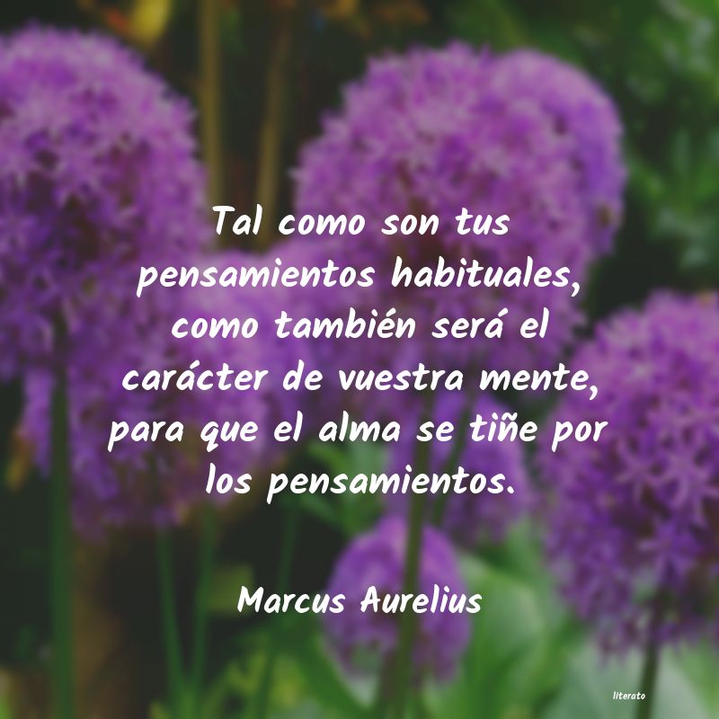 frases de Marcus Aurelius
