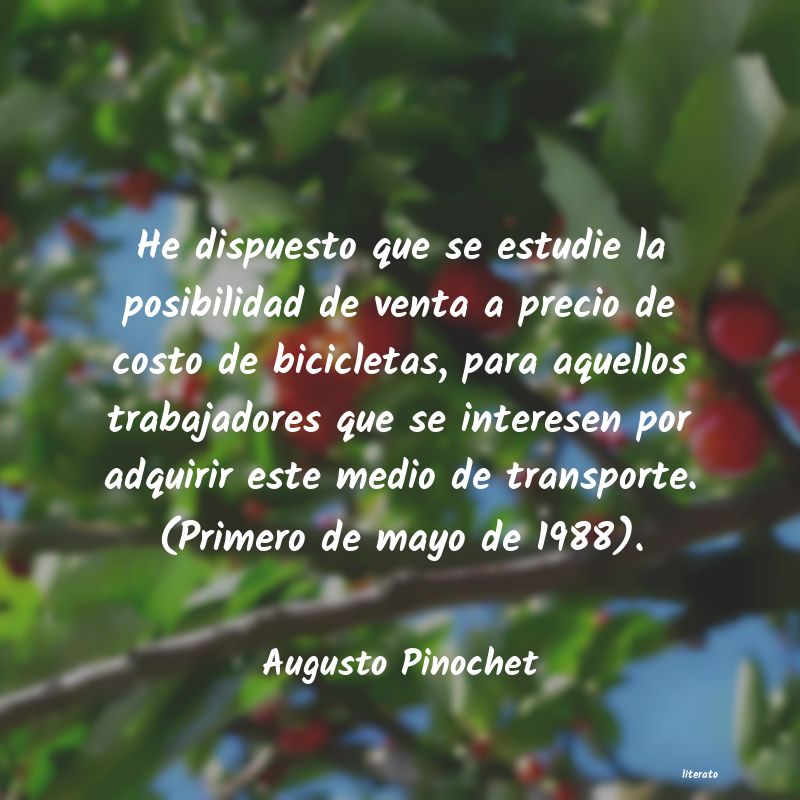 Frases de Augusto Pinochet