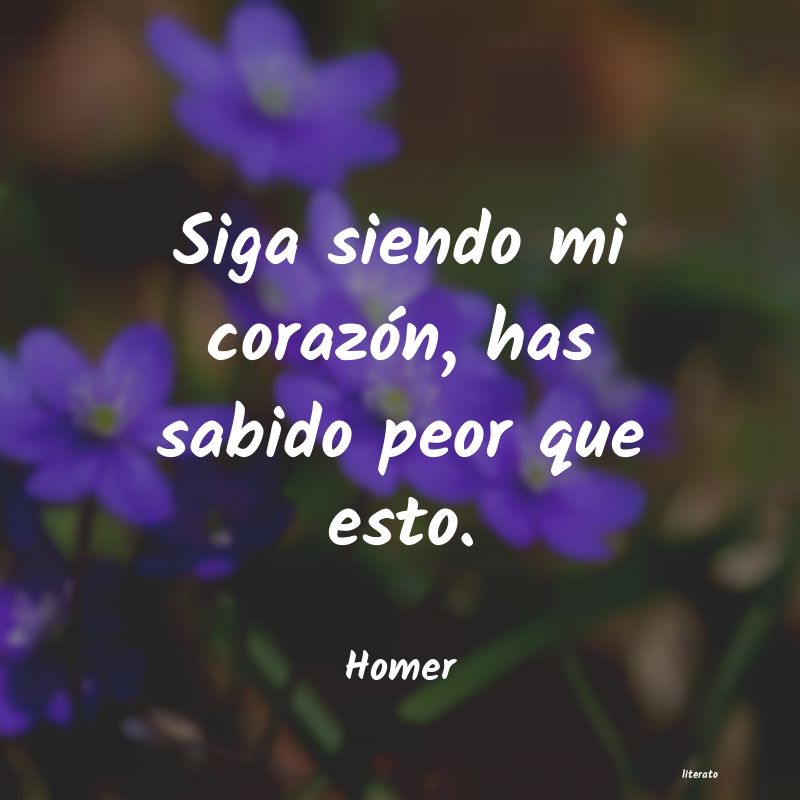 frases de Homer