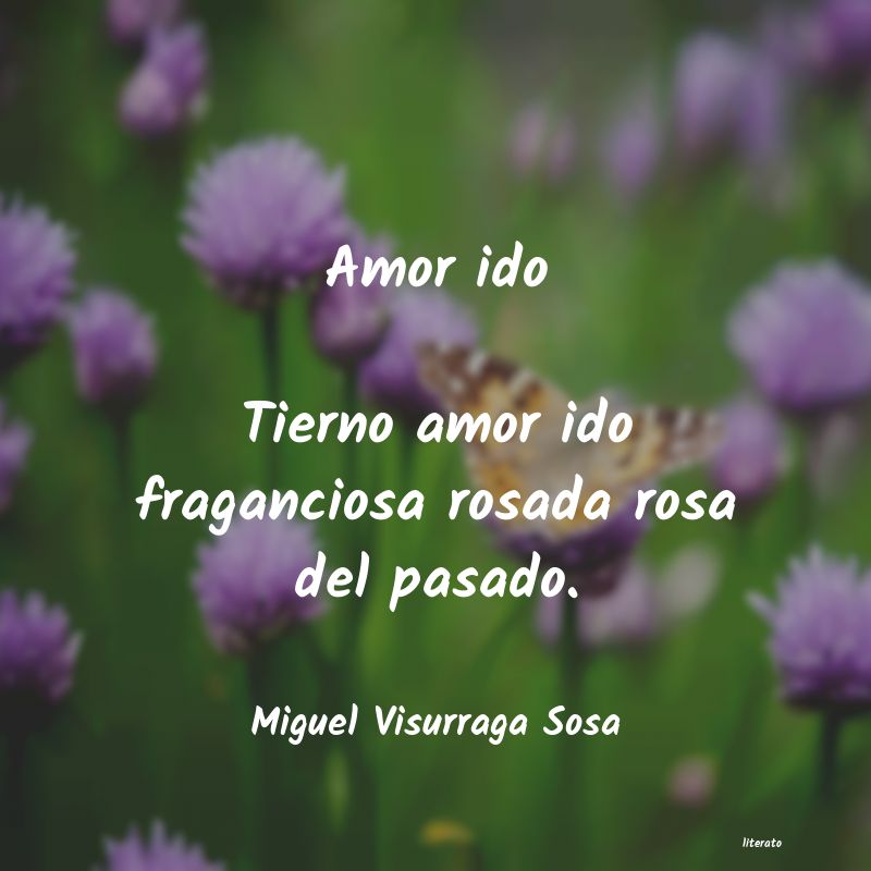 frases de Miguel Visurraga Sosa