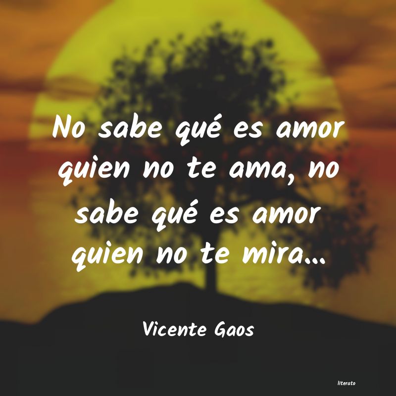 Frases de Vicente Gaos