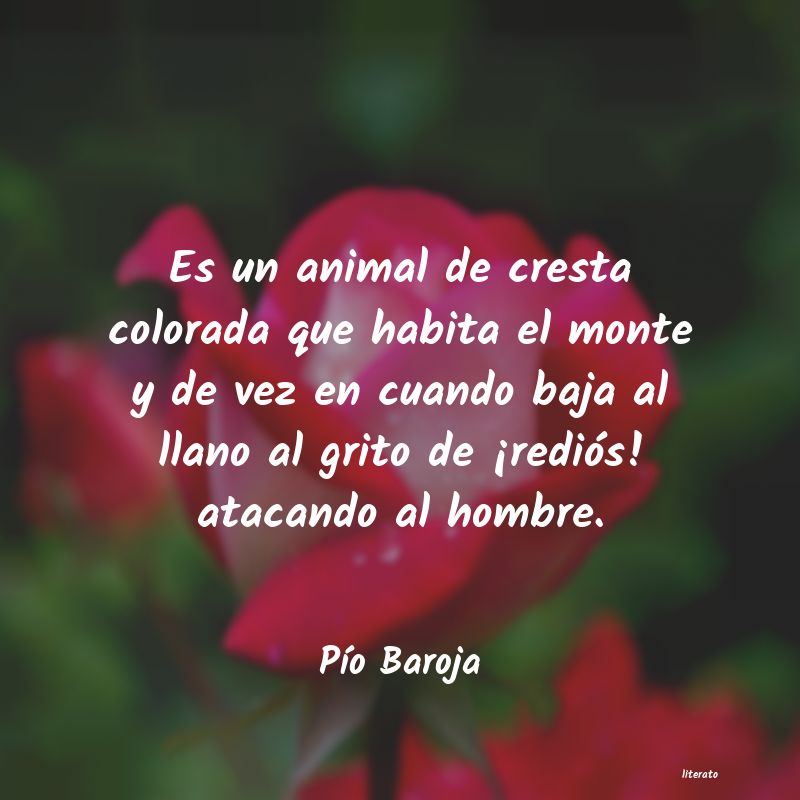 Frases de Pío Baroja