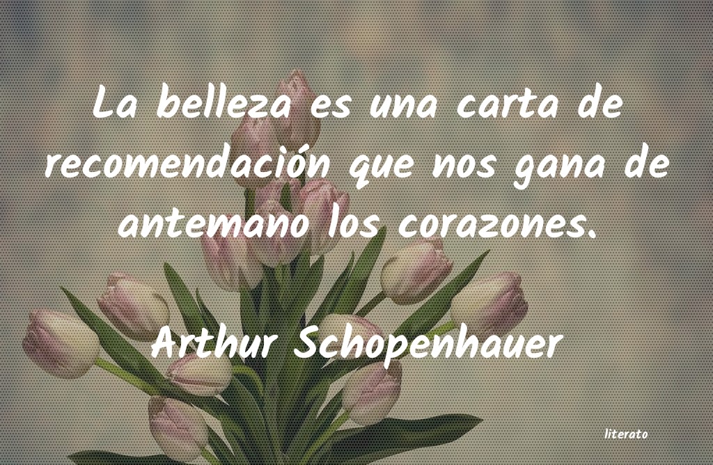 Frases de Arthur Schopenhauer