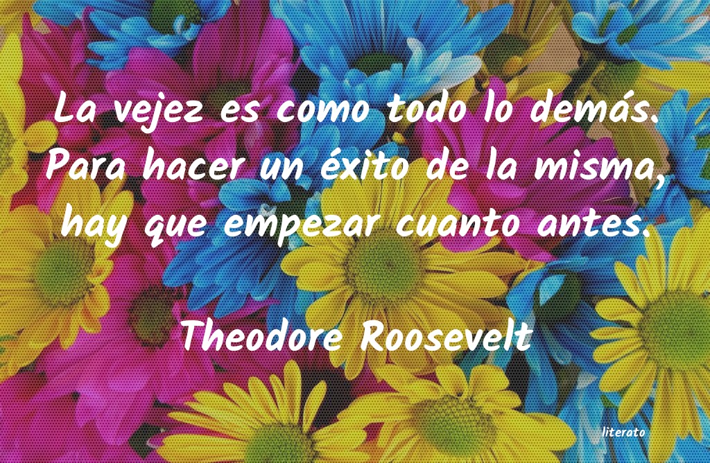 frases de Theodore Roosevelt