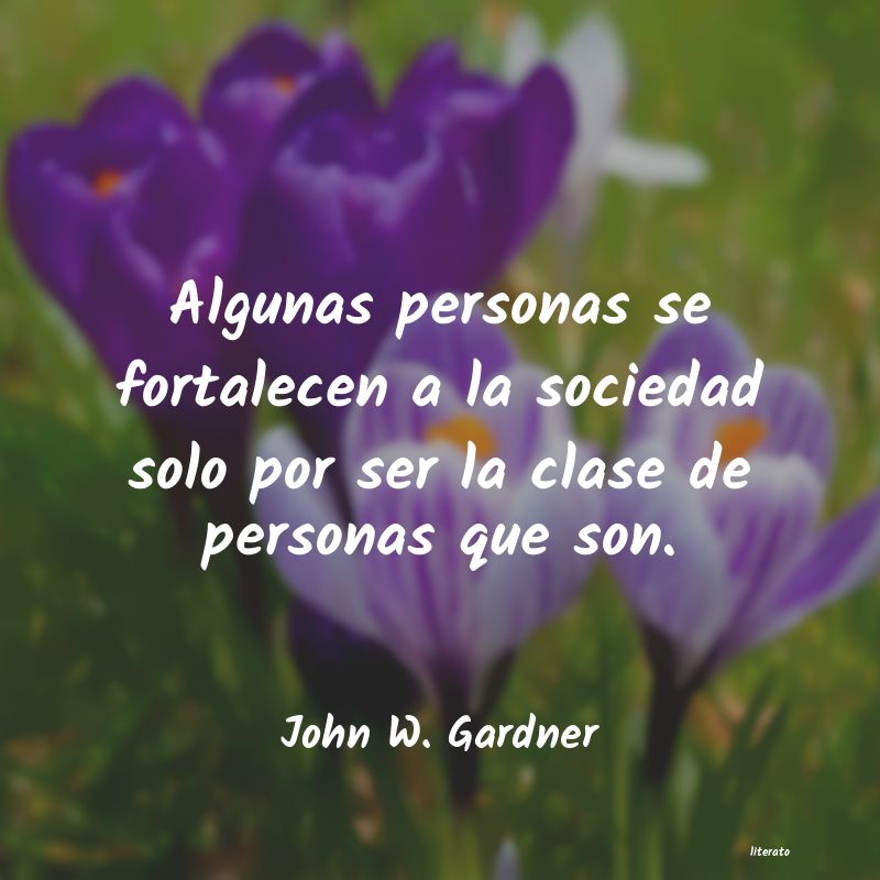 Frases de John W. Gardner