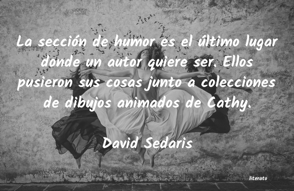 Frases de David Sedaris