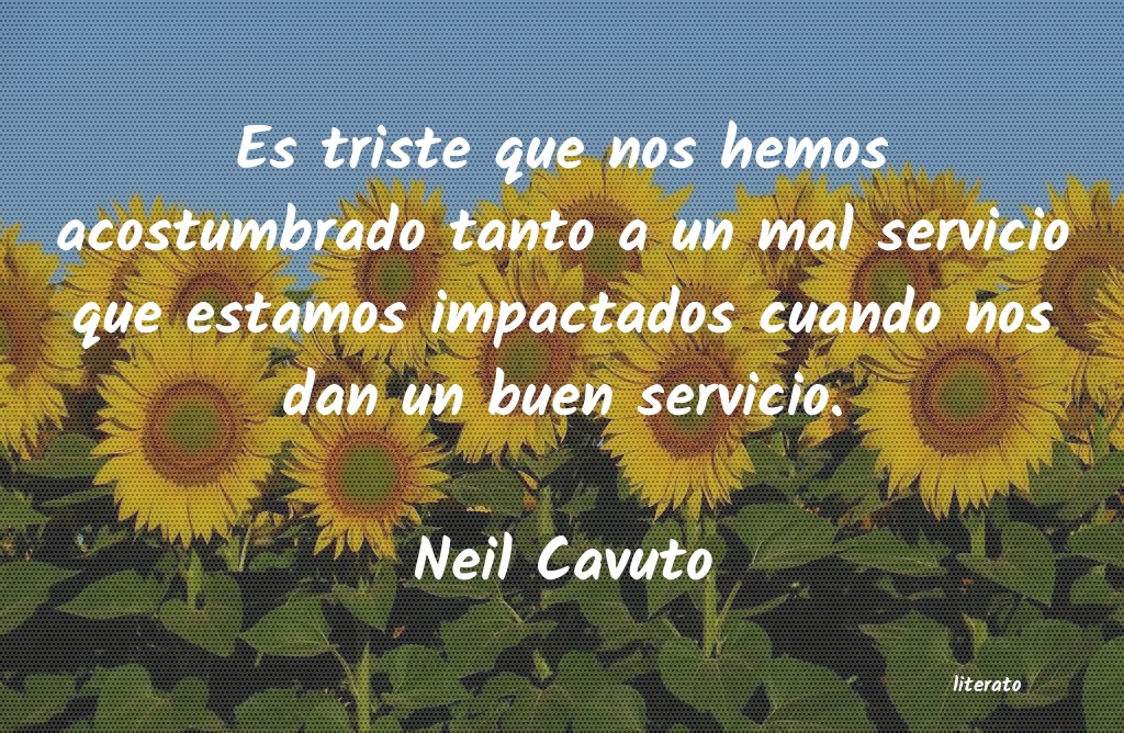 frases de Neil Cavuto