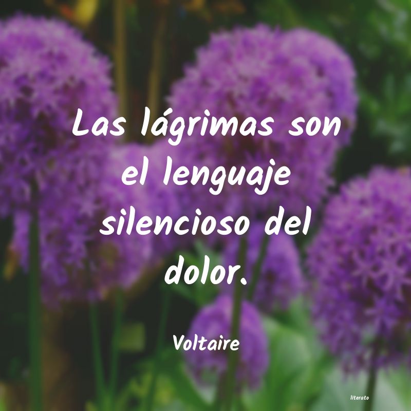 Frases de Voltaire