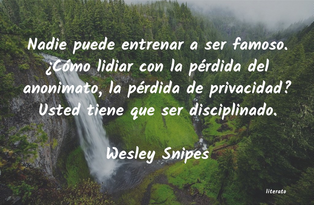 Frases de Wesley Snipes