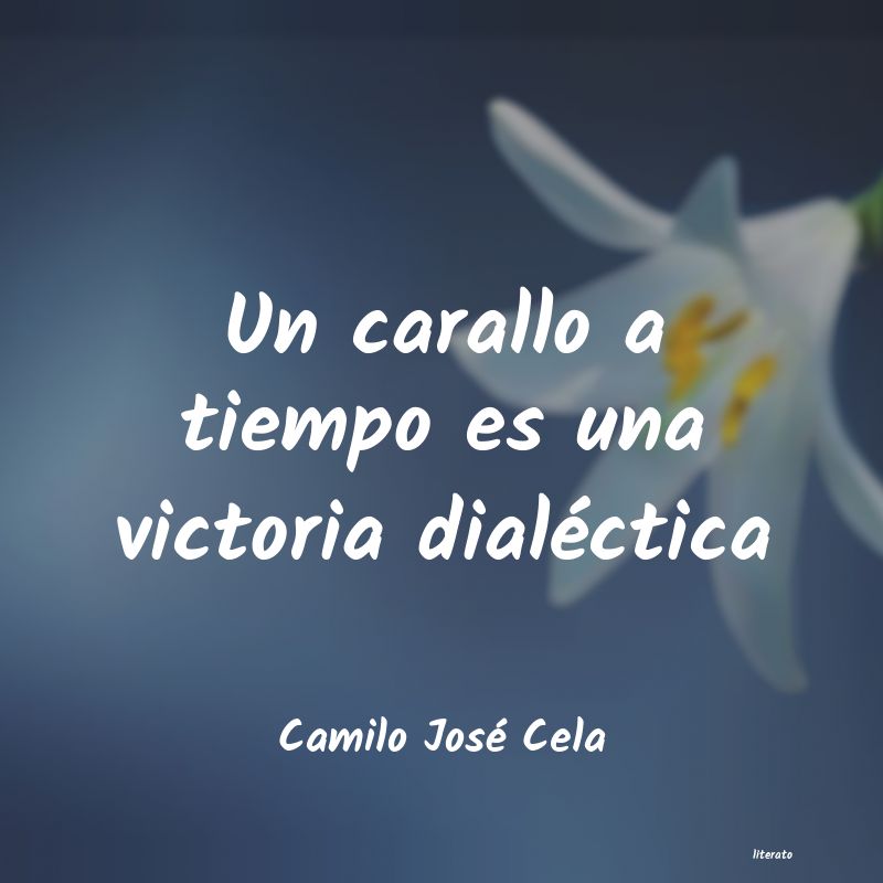 Frases de Camilo José Cela