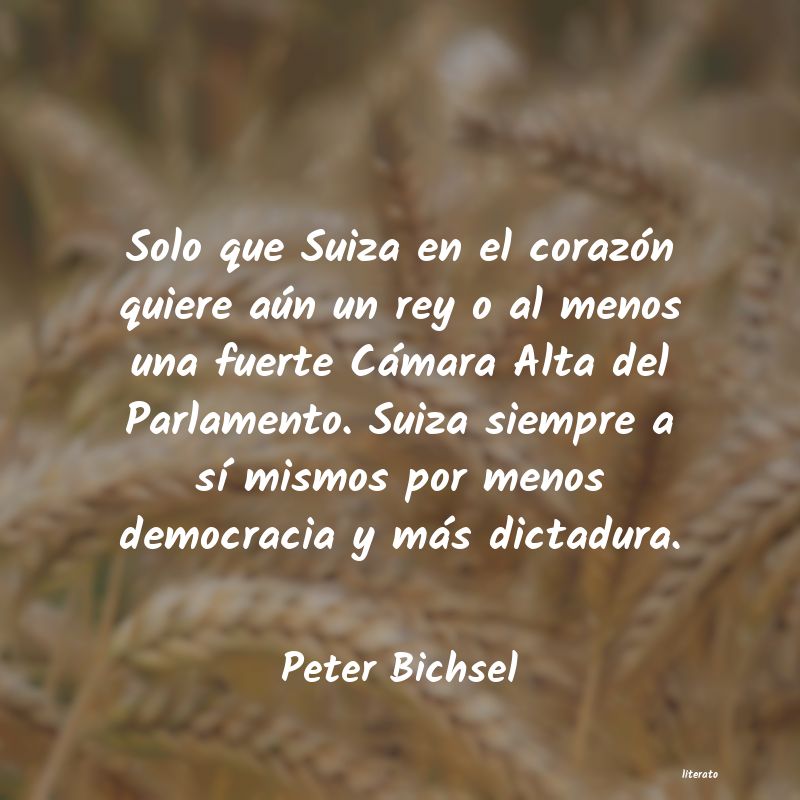 frases de Peter Bichsel