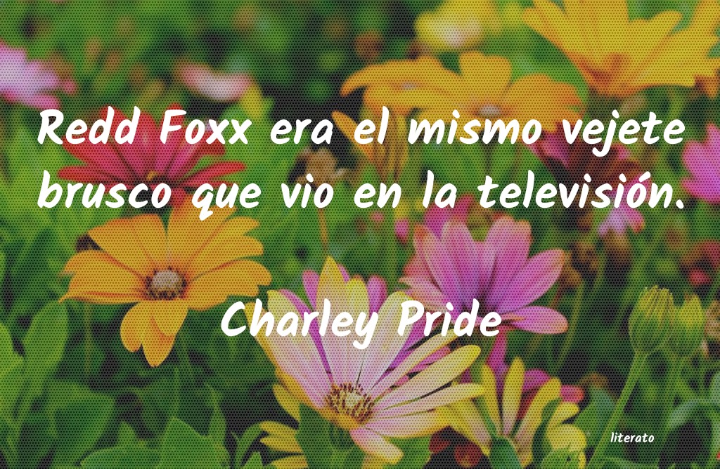 Frases de Charley Pride