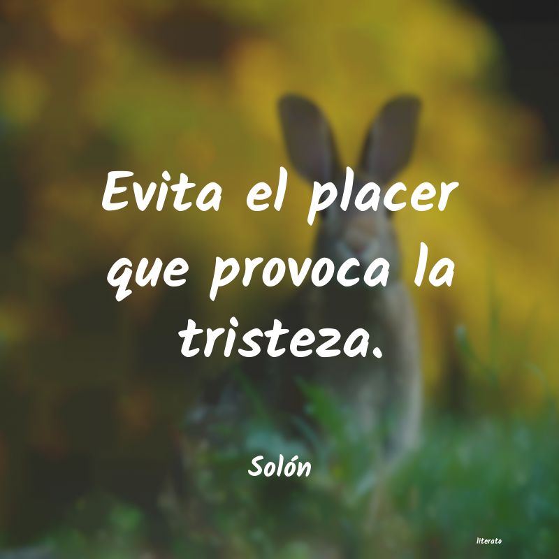 frases de Solón