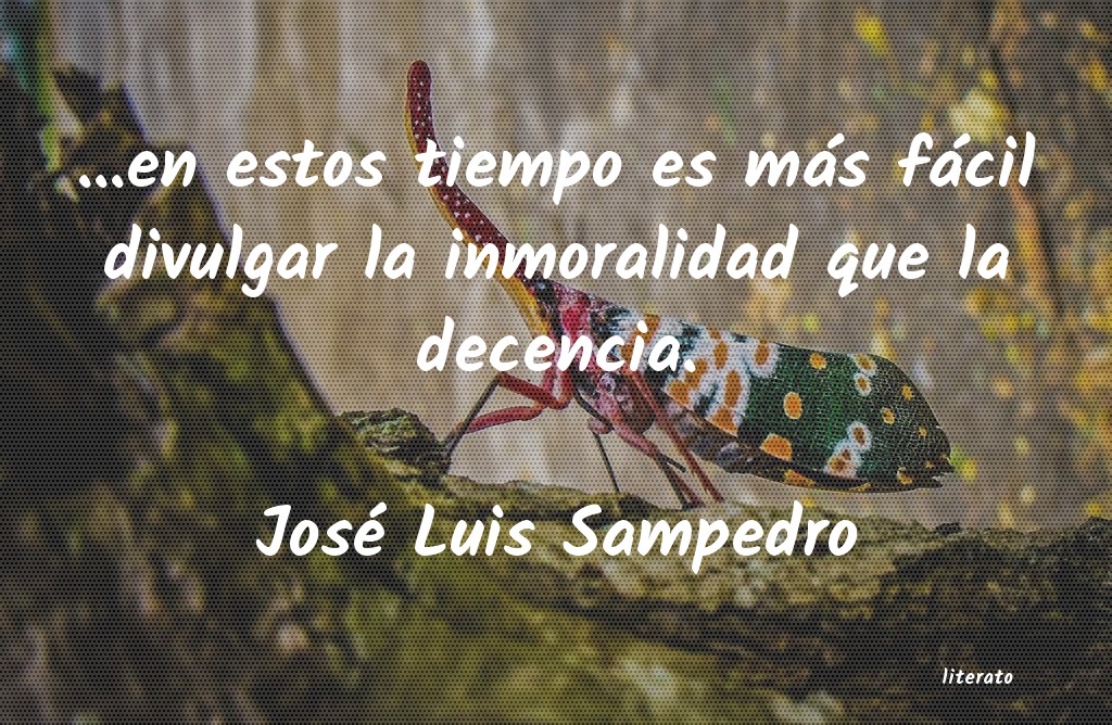 frases de José Luis Sampedro