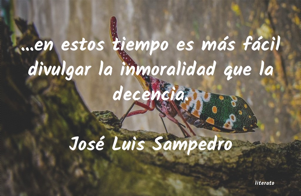 Frases de José Luis Sampedro