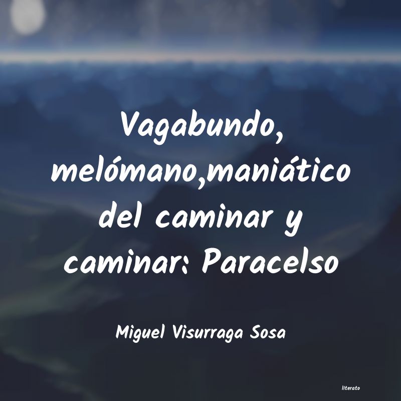 frases de Miguel Visurraga Sosa