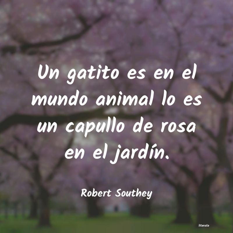 Frases de Robert Southey