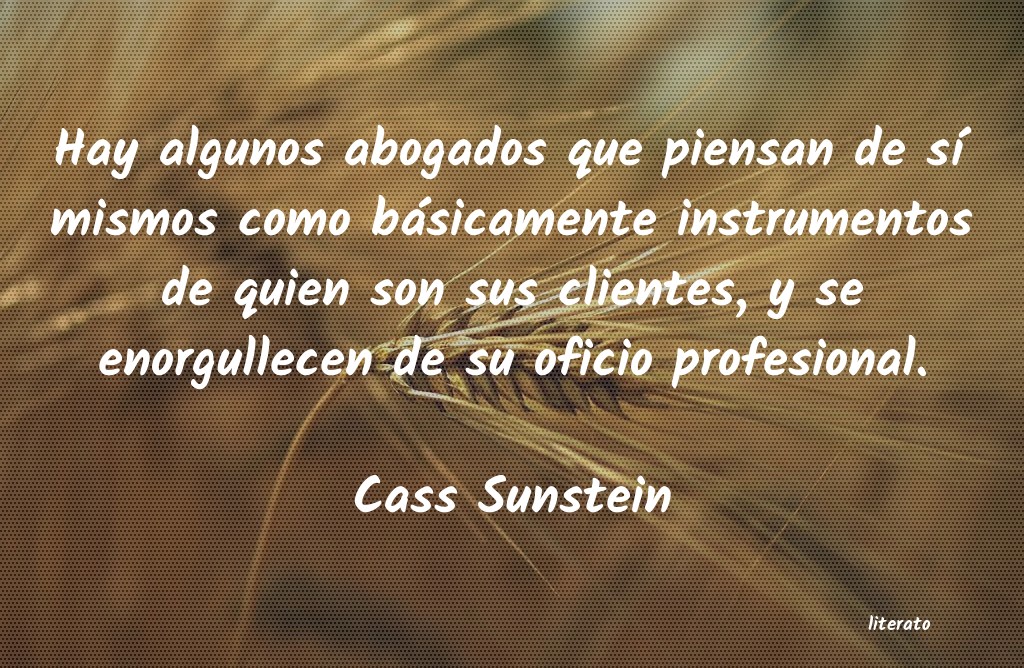 Frases de Cass Sunstein