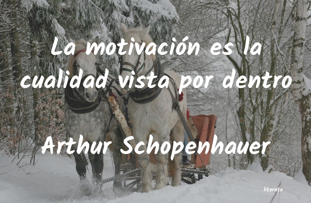 Frases de Arthur Schopenhauer