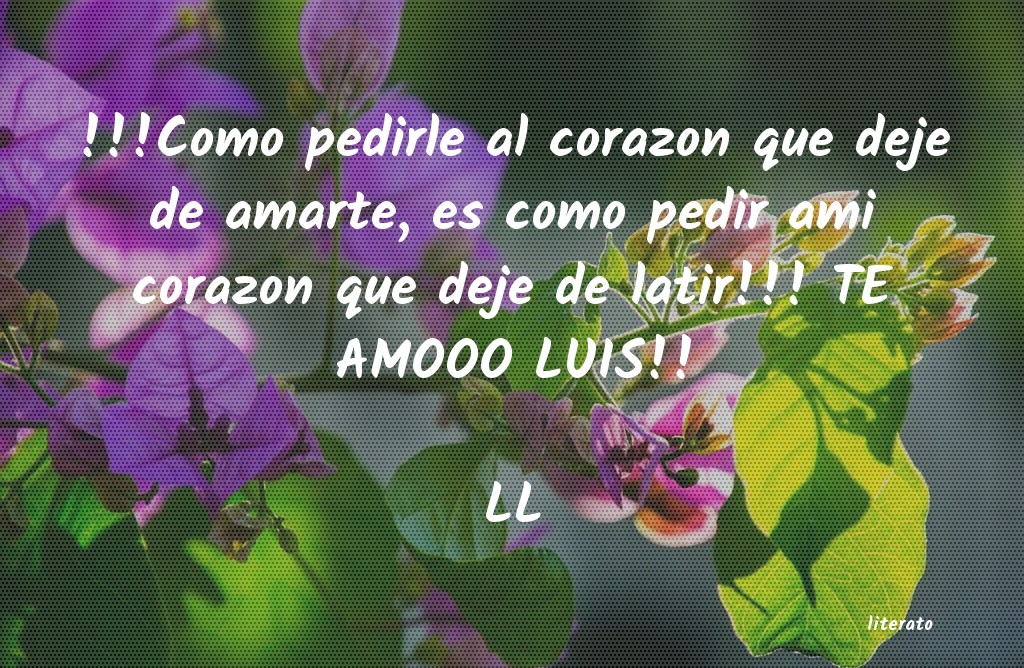 Frases de LL