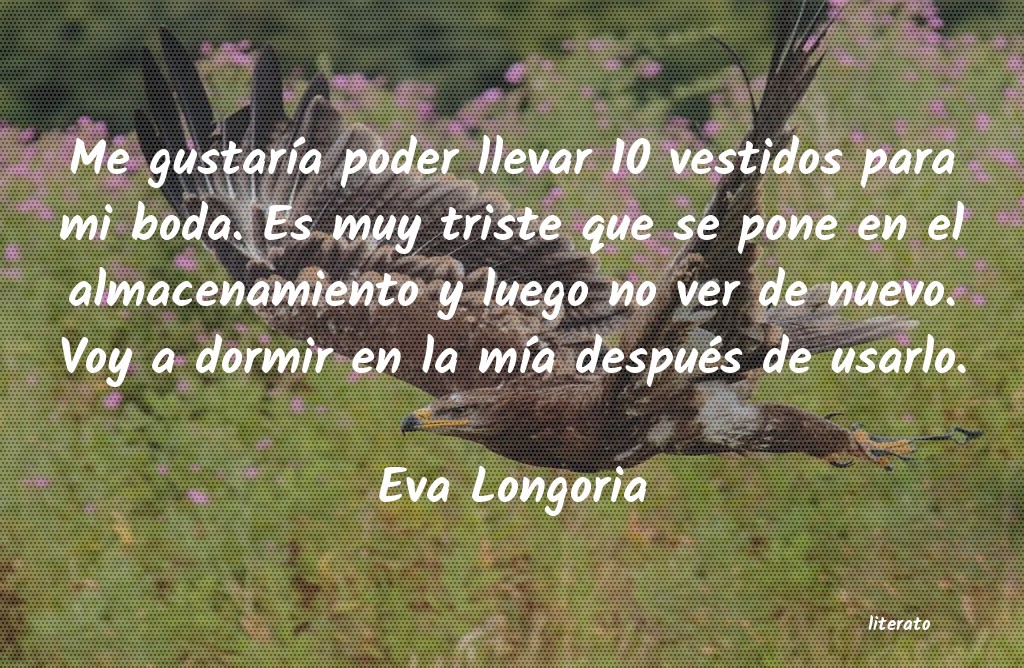 Frases de Eva Longoria