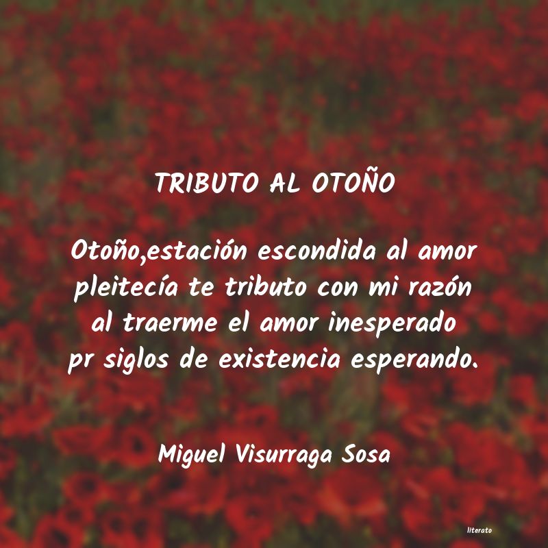 frases de Miguel Visurraga Sosa