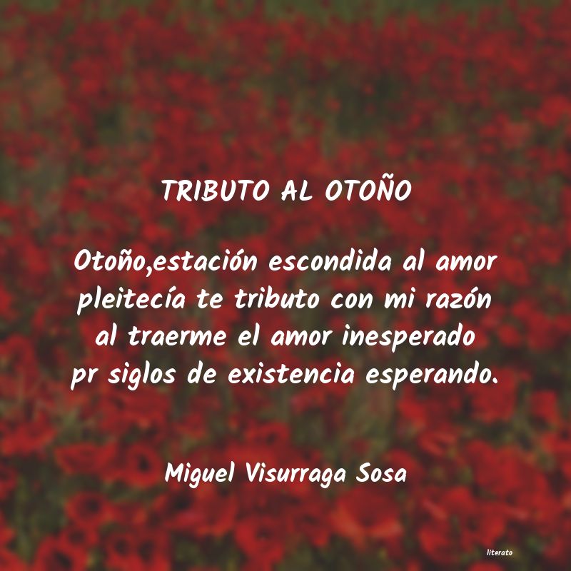 Frases de Miguel Visurraga Sosa