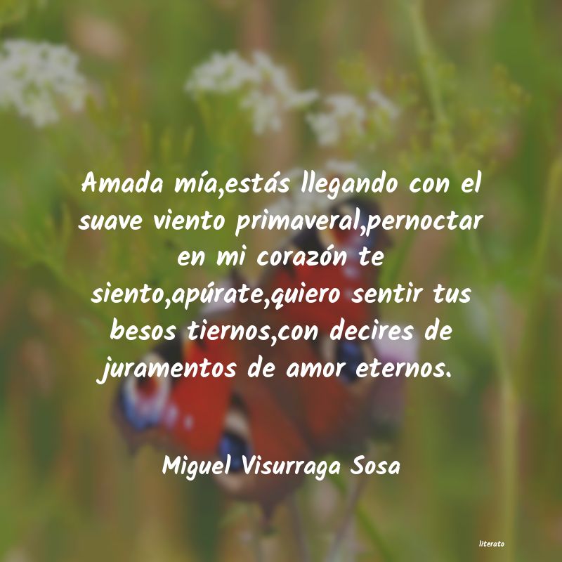 frases de Miguel Visurraga Sosa