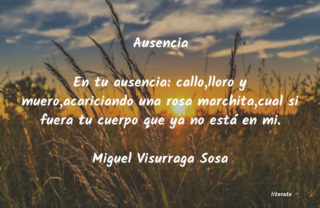 Frases de Miguel Visurraga Sosa