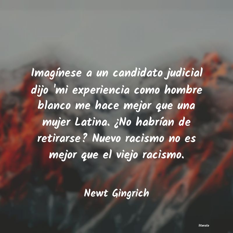 Frases de Newt Gingrich