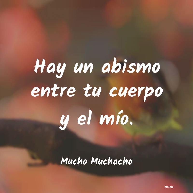 frases de Mucho Muchacho
