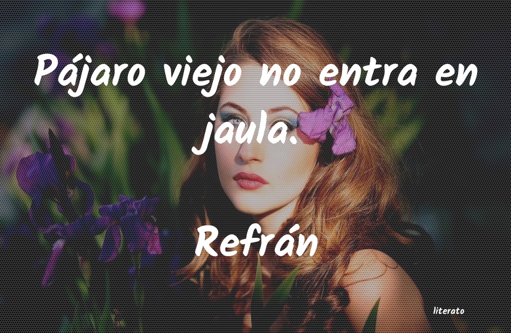 frases de RefrÃ¡n