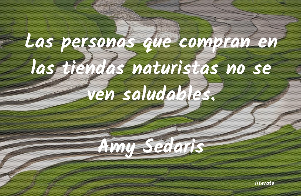 Frases de Amy Sedaris