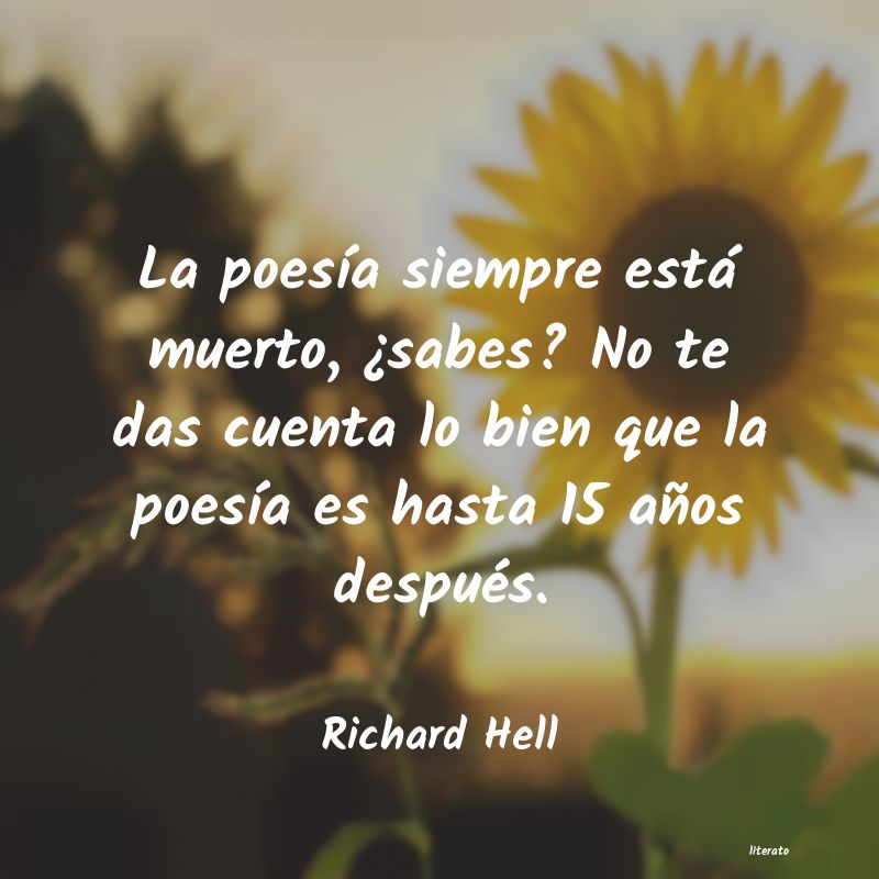 Frases de Richard Hell