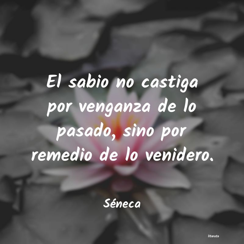 frases de Séneca