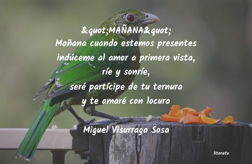 Frases de Miguel Visurraga Sosa