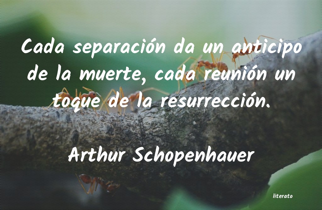 Frases de Arthur Schopenhauer