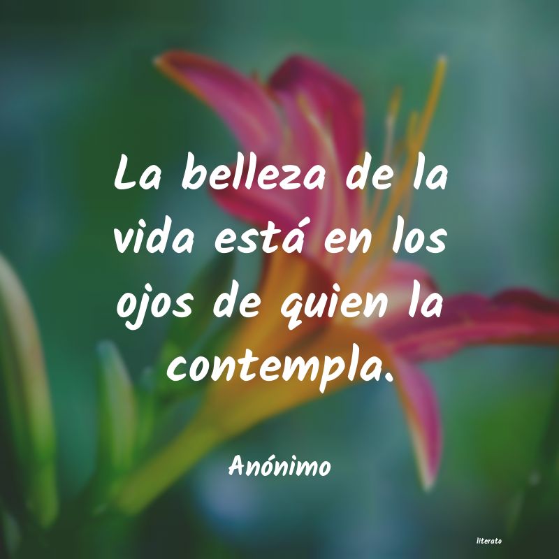 frases
