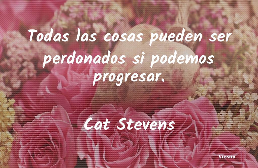 frases de Cat Stevens