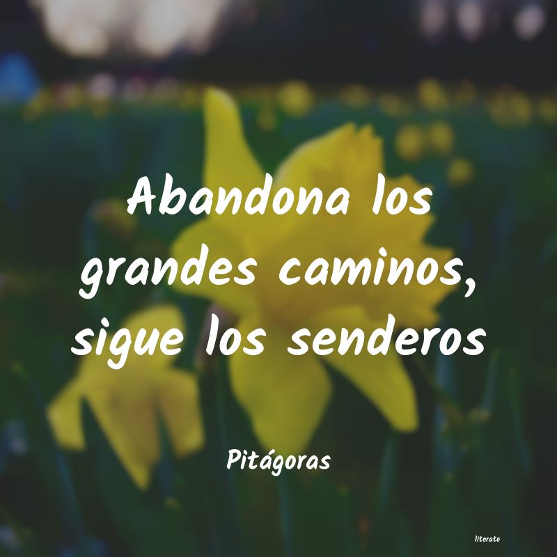 frases de Pitágoras