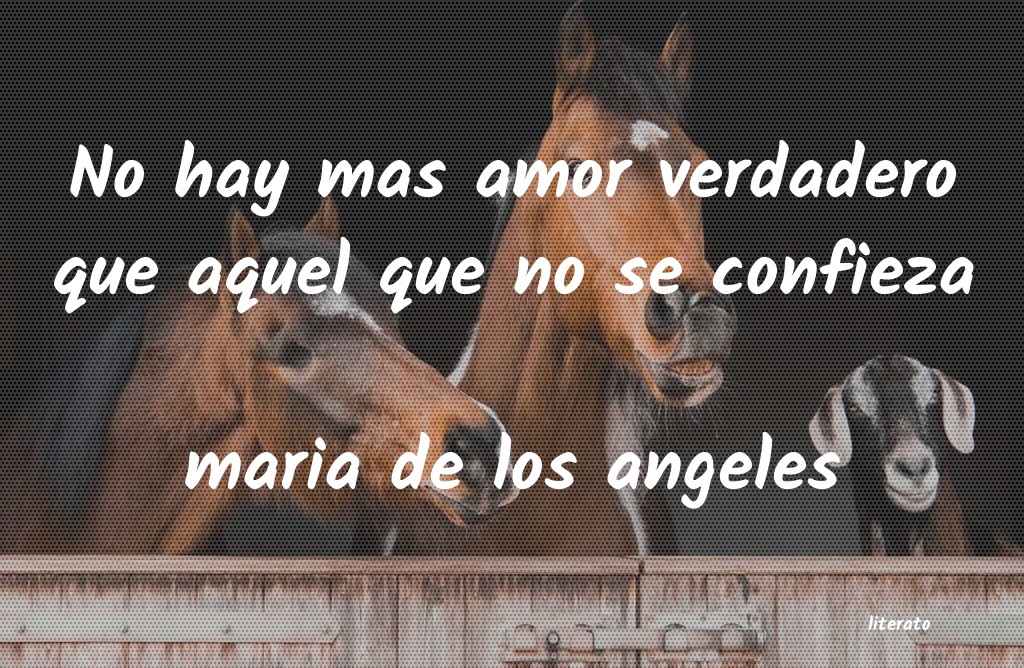 Frases de maria de los angeles - literato