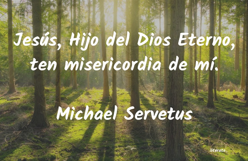 Frases de Michael Servetus