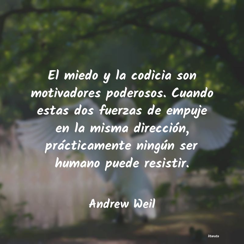 Frases de Andrew Weil