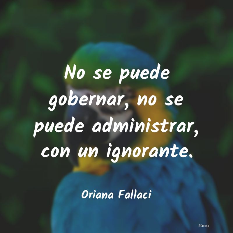 Frases de Oriana Fallaci