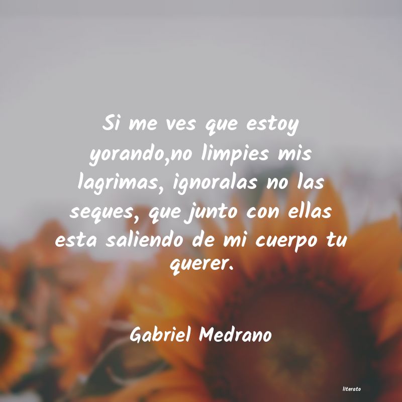 Frases de Gabriel Medrano