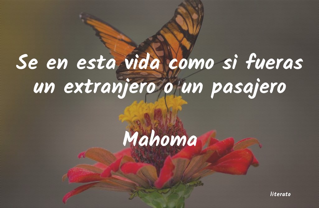 frases de Mahoma