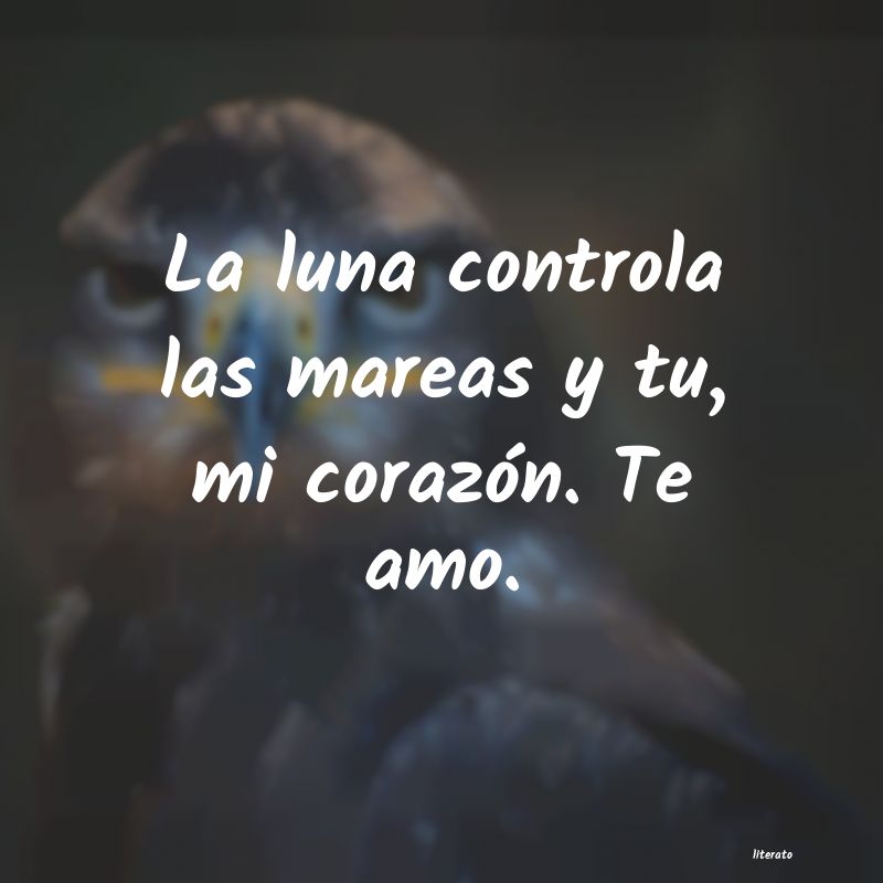 frases