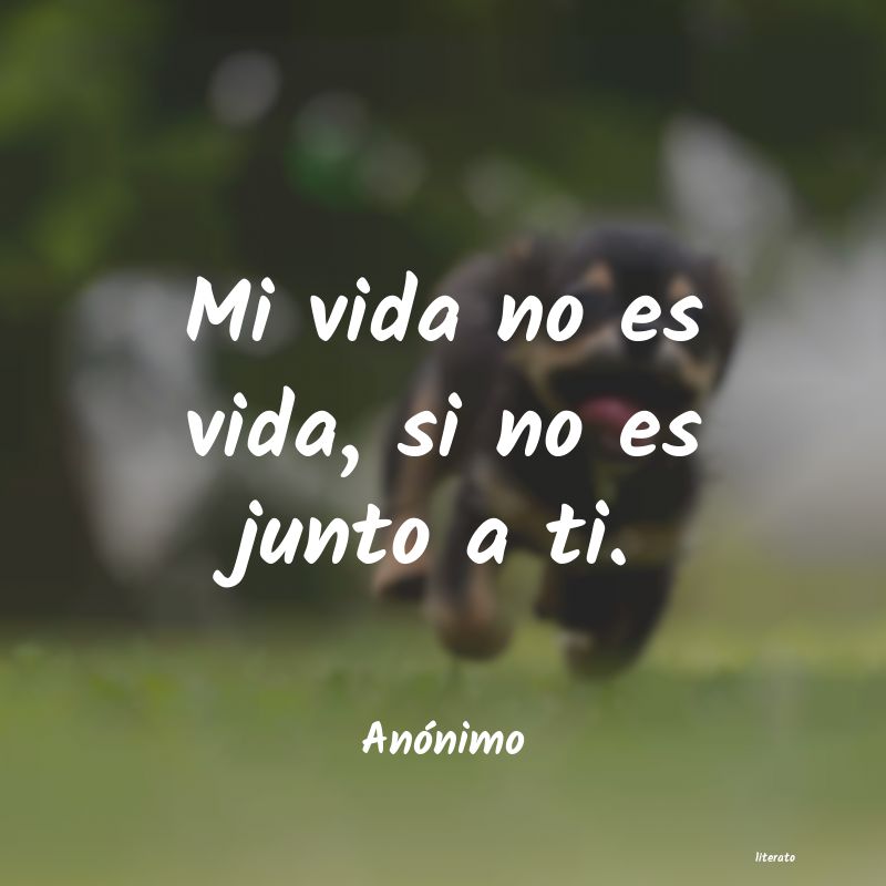 frases