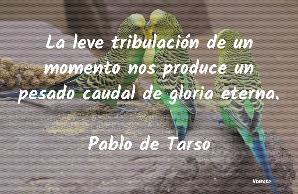 Frases de Pablo de Tarso