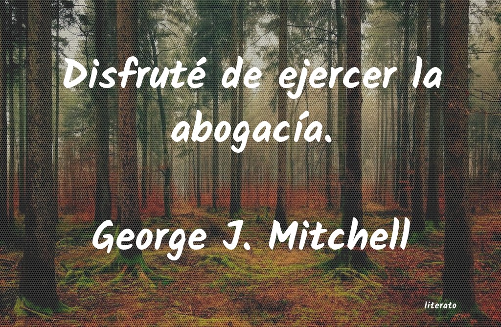 Frases de George J. Mitchell